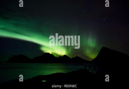Luci del nord in Lofoten, Norvegia Foto Stock