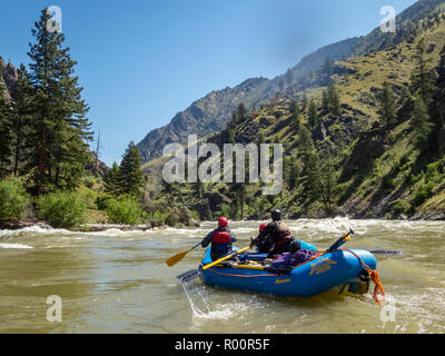 Rafting sul fiume Salmon Middle Fork nell'Idaho con avventure lontano e lontano. Foto Stock