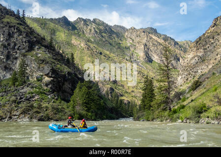 Middle Fork Salmon River, Idaho, rafting sulle rapide, avventure lontane e lontane, Wild e Scenic River, Frank Church River of No Return Wilderness, Salmo Foto Stock
