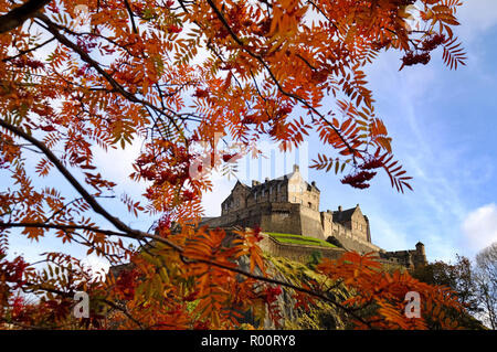 Una vista sul Castello di Edimburgo attraverso la Rowan alberi visualizzando i colori autunnali nei giardini di Princes Street. Foto Stock