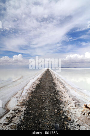 Febbraio 24, 2010 - Salar de Uyuni - Bolivia: una via tra la pianta di litio in Rio Grande e il Salar de Uyuni, il sale campi tenendo la metà delle riserve mondiali di litio. La Bolivia si trova ad affrontare importanti sfide di infrastruttura di miniera e litio di esportazione dal Salar de Uyuni. Foto d'onu chemin utilizzano par les vehicules pour approcher la fabrique experimentale de litio dans le Salar de Uyuni, Onu immenso deserto de sel qui abrite plus de 50% des si riserva Mondiales de litio. *** La Francia / NESSUNA VENDITA A MEDIA FRANCESI *** Foto Stock