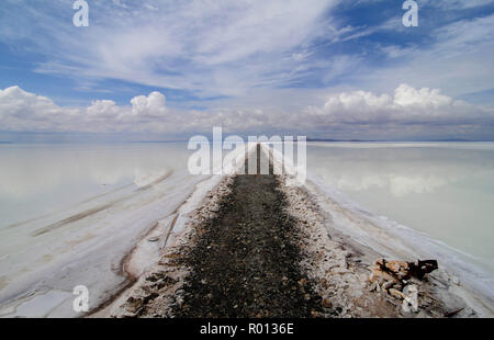 Febbraio 24, 2010 - Salar de Uyuni - Bolivia: una via tra la pianta di litio in Rio Grande e il Salar de Uyuni, il sale campi tenendo la metà delle riserve mondiali di litio. La Bolivia si trova ad affrontare importanti sfide di infrastruttura di miniera e litio di esportazione dal Salar de Uyuni. Foto d'onu chemin utilizzano par les vehicules pour approcher la fabrique experimentale de litio dans le Salar de Uyuni, Onu immenso deserto de sel qui abrite plus de 50% des si riserva Mondiales de litio. *** La Francia / NESSUNA VENDITA A MEDIA FRANCESI *** Foto Stock