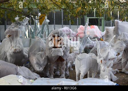 Ottobre 26, 2018 - Parigi, Francia: centinaia di animali realizzato in materia plastica sono in fase di preparazione per un'illuminazione mostra nel Jardin des Plantes del francese il Museo Nazionale di Storia Naturale. La mostra è preparato dal Sichuan azienda Tianyu. Des centaines d'animaux en plastique sont en train d'etre prepara pour un spettacolo d'illuminazione Au Jardin des Plantes. Ces festival des Lumieres est preparare par le groupe chinois Tianyu Sichuan. *** La Francia / NESSUNA VENDITA A MEDIA FRANCESI *** Foto Stock