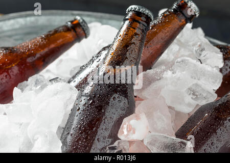 Il freddo gelido di bottiglie di birra in un refrigeratore con ghiaccio Foto Stock