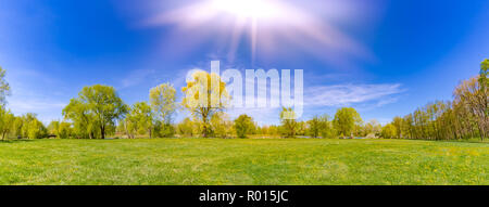 Molla panoramico paesaggio estivo. Verde erba di prato, giallo tarassaco fiori e alberi verdi sotto il cielo blu, giornata di sole. Idilliaco paesaggio di natura Foto Stock