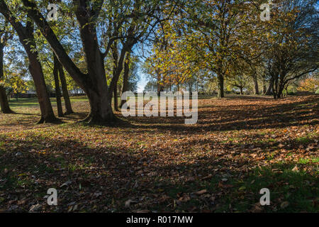 Colori luminosi di autunno o cadere con la caduta foglie mentre passeggiate nel parco nel bosco su un soleggiato ottobre mattina a Blackpool, Lancashire, Inghilterra, Regno Unito Foto Stock