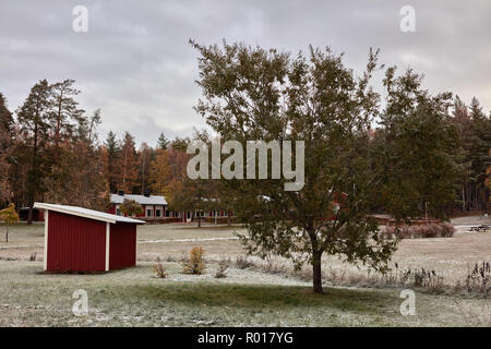 Prima neve in un prato fuori Vaxholm in 2018 Foto Stock