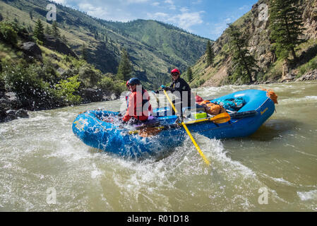 Lontano e lontano Adventures guida Sanne Hilbrich inizia una corsa attraverso rapide di acque bianche sul Medio Fork Salmon River in Idaho. Foto Stock