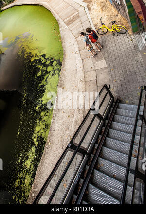 turisti che camminano lungo alghe infestate regents canale di londra Foto Stock