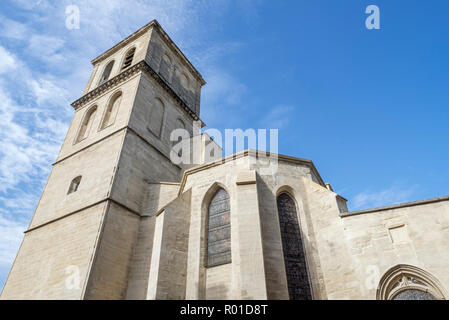 Il campanile del XIV secolo gotico Saint-Agricol Collégiale d'Avignon Avignon Vaucluse, Provence-Alpes-Côte d'Azur, in Francia Foto Stock