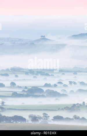 Vista attraverso la Marshwood Vale per Colmer's Hill da Pilsdon Pen, Dorset, England, Regno Unito Foto Stock