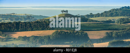 Colmers Hill, Dorset, England, Regno Unito Foto Stock