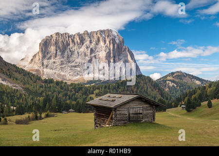 Capanna a Grödner Joch, Sassolungo sul retro, Passo Gardena, Val Gardena, Dolomiti, Alto Adige, Italia Foto Stock