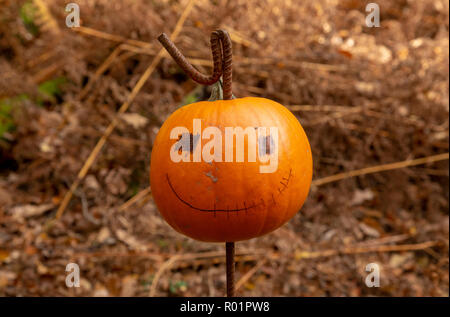 Preston, Lancashire, Regno Unito. Il 31 ottobre, 2018. Zucca di Halloween, Ambleside, Cumbria. Credito: John Eveson/Alamy Live News Foto Stock