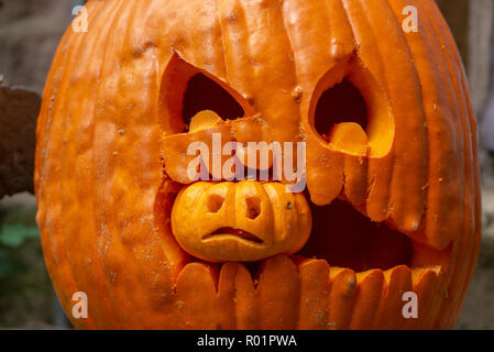 Preston, Lancashire, Regno Unito. Il 31 ottobre, 2018. Zucca di Halloween, Chipping, Preston, Lancashire. Credito: John Eveson/Alamy Live News Foto Stock