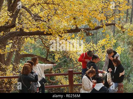 Zhengzhou, la Cina della Provincia di Henan. 1 Nov, 2018. I turisti di visitare il Villaggio Xiasi in Songxian County, centrale cinese della Provincia di Henan, nov. 1, 2018. Credito: Li Un/Xinhua/Alamy Live News Foto Stock