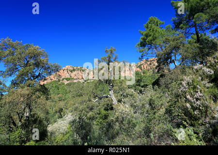 Rocher de Roquebrune sur Argens, 83, Var, Cote d'azur, PACA, Foto Stock