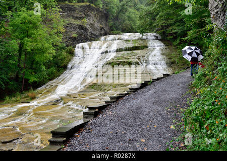 Persone con ombrelli sotto la pioggia a partire trail walk al latticello cade nel latticello stato parco vicino a Ithaca NY, STATI UNITI D'AMERICA Foto Stock