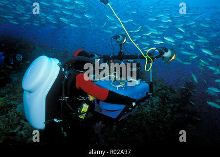 Cameraman utilizzare la più recente in high-tech, misti di ricircolo dei gas di tecnologia per film di fauna marina, Figi, Oceano Pacifico Foto Stock