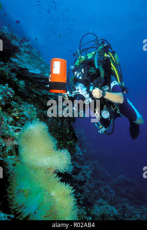 Cameraman utilizzare la più recente in high-tech, misti di ricircolo dei gas di tecnologia per film di fauna marina, Figi, Oceano Pacifico Foto Stock