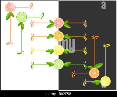 Agrumi freschi vector cornici e divisori di testo set. Succose fette di lime, limone, arancia e pompelmo con foglie. Elementi di estate per menu, decorazione Illustrazione Vettoriale