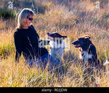 Donna con due Border Collies in un parco vicino Salida; Colorado; USA Foto Stock