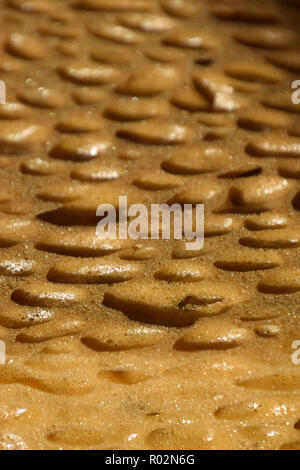 Attrezzature per la pulizia di pan di spagna per la cucina o il bagno o a scuola, spugna porosa superficie di sfondo, macro estreme del grande secco poroso spugna aspetto bizzarro Foto Stock