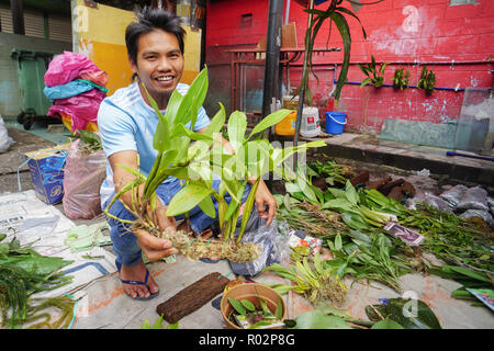 Kota Kinabalu, Sabah Malaysia - Agosto 5, 2018 : persone native di Sabah Malaysian Borneo vendita orchidee selvatiche. Foto Stock