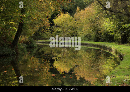 Autunno riflessioni su una curva di Staffordshire e Worcestershire canal a Stourton vicino a Stourbridge, West Midlands, Regno Unito. Foto Stock