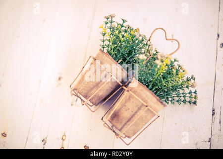 Piante in vaso - decorazione parietale Lavanda fiori in vaso. Accogliente casa decor, con freschi Fiori d'estate Foto Stock