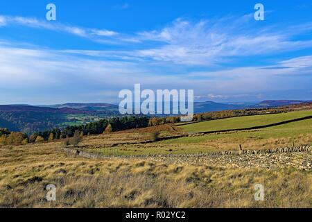 Blue sky di pensiero e momento in Longshaw Prato, Grindleford Foto Stock