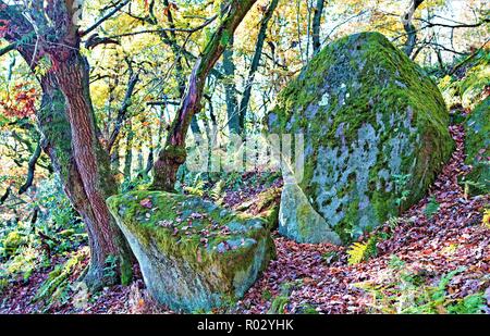 Catturare il trono primordiale come aspetto di due grandi rocce calcaree in Padley gola dei boschi, Grindleford, Derbyshire. Foto Stock