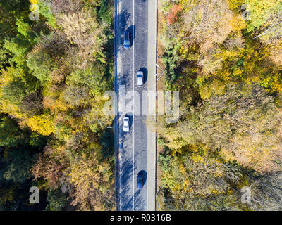 Veduta aerea automobile che viaggia attraverso la foresta colorata Foto Stock