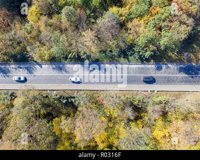 Veduta aerea automobile che viaggia attraverso la foresta colorata Foto Stock
