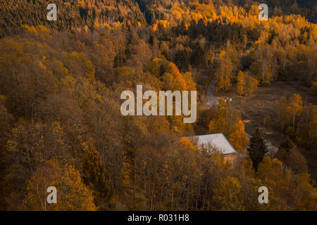 In autunno la foresta colorata in Germania Foto Stock