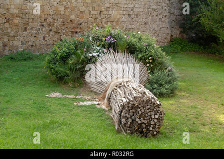 In prossimità degli ingressi alla città vecchia di Rodi, Grecia, un giardino display progettato per assomigliare ad un mazzo di fiori. Foto Stock