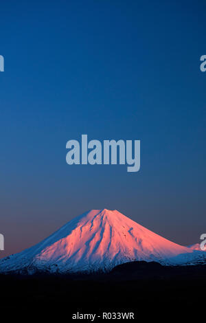 Alpenglow su Mt Ngauruhoe all'alba, del Parco Nazionale di Tongariro, altopiano centrale, Isola del nord, Nuova Zelanda Foto Stock