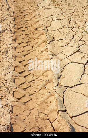 Ruote vettura tracce sul essiccato argilla del suolo Foto Stock