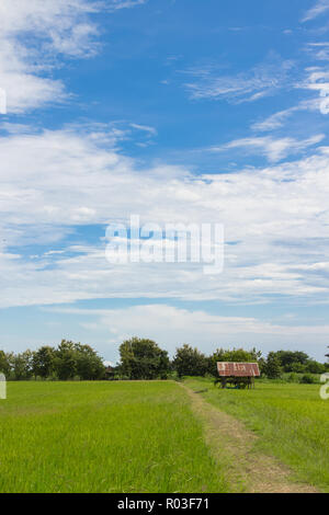 Piccolo capanno sul campo di riso nella provincia di Sukhothai, Thailandia. Foto Stock