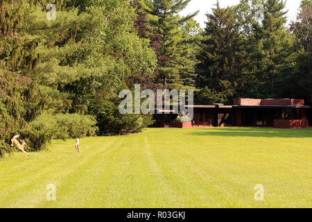 Deer frolic attraverso Prato anteriore di Weltzheimer/Johnson House (progettata da Frank Lloyd Wright, 1947), Oberlin, Ohio Foto Stock