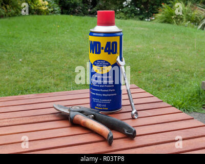 Bomboletta WD-40 Lubrificante spray con Secateurs e una chiave, REGNO UNITO  Foto stock - Alamy