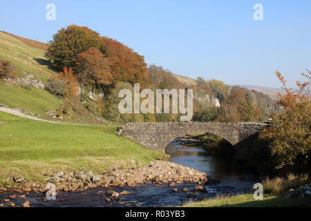 Vista del fiume Swale che scorre sotto un ponte in pietra vicino Wain Wath vigore su una soleggiata giornata autunnale con alberi in autunno le tinte sul fianco della collina. Foto Stock