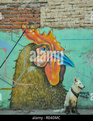 07/07/2018, Minatitlan, Sinaloa, Messico: un cane con una bandana si siede di fronte a un gallo Foto Stock