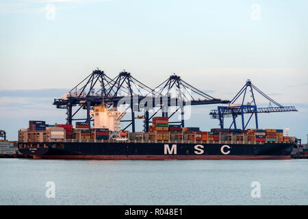 MSC Alghero nave portacontainer, porto di Felixstowe, Suffolk, Inghilterra. Foto Stock