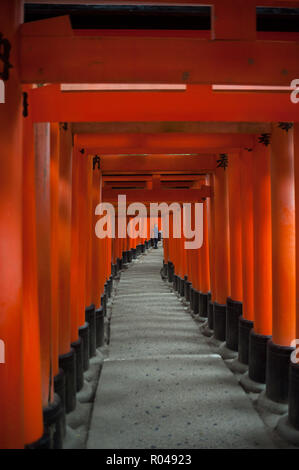 Kyoto, Giappone, Torii percorso A Fushimi Inari-Taisha Foto Stock