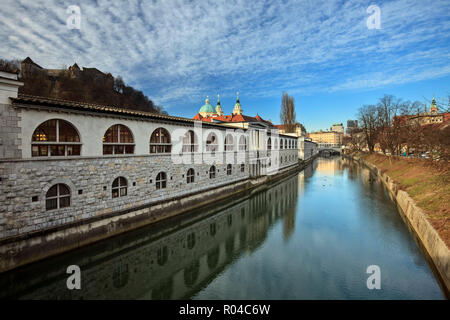 La Cattedrale di San Nicola dal drago ponte che attraversa il fiume Ljubljana, Slovenia Foto Stock