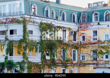 Batumi, Georgia, 2017-11-04: Architettura generale - facciata della tradizionale edificio residenziale, coperto di edera e di mosti di uve di vernice. Foto Stock