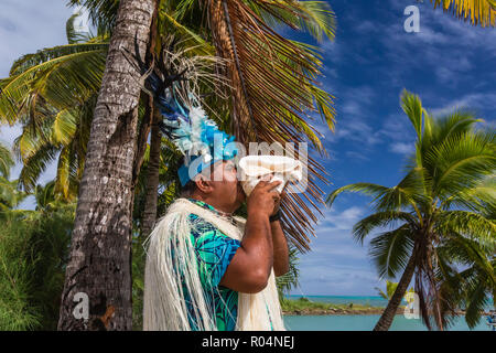 Una conchiglia guerriero di soffiaggio che accoglie gli ospiti di Aitutaki, Isole Cook, a sud delle Isole del Pacifico e del Pacifico Foto Stock
