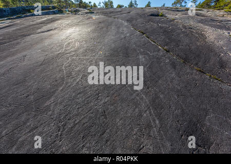 Le forme degli animali nel 9000 anno vecchio molato e lucidato Età della Pietra di arte rupestre a Leiknes, Norvegia, Scandinavia, Europa Foto Stock