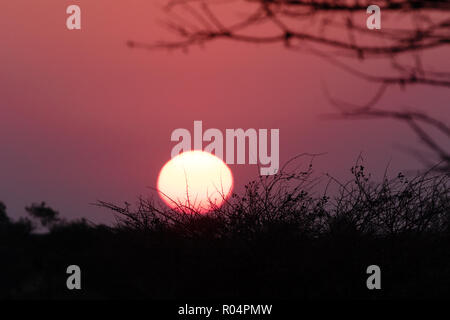 Africa tramonto; Spitzkoppe, Namibia Africa Foto Stock